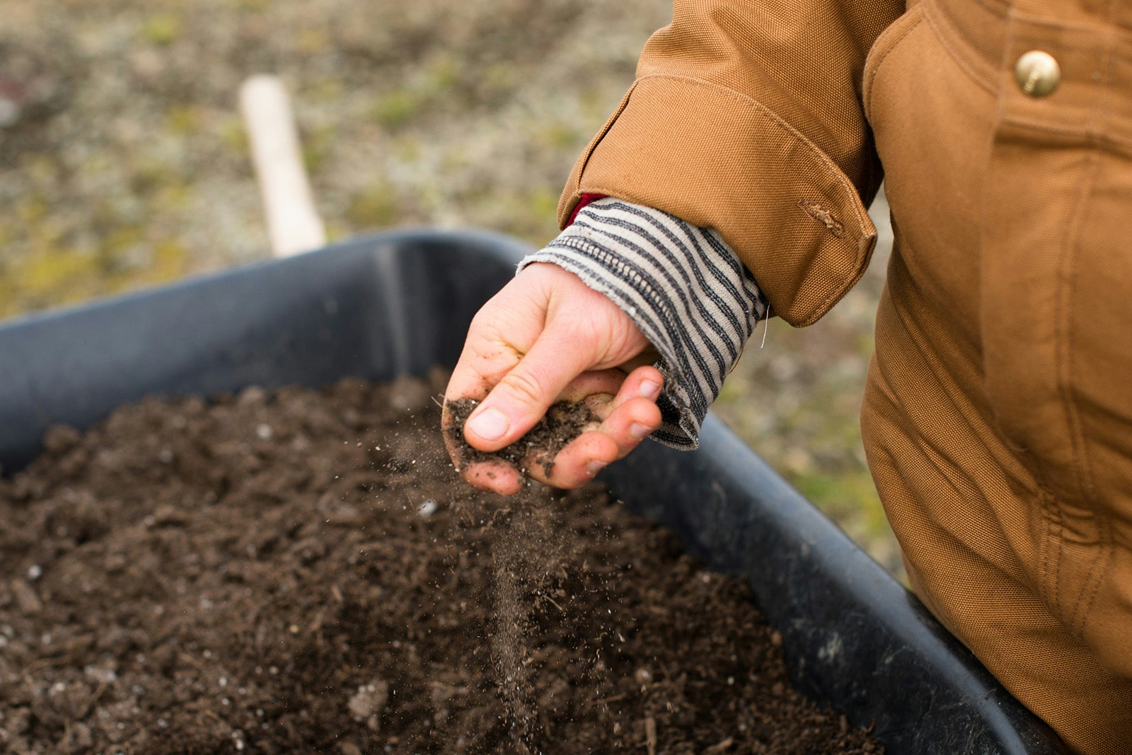 A person sifting compost through their fingers into a wheelbarrow