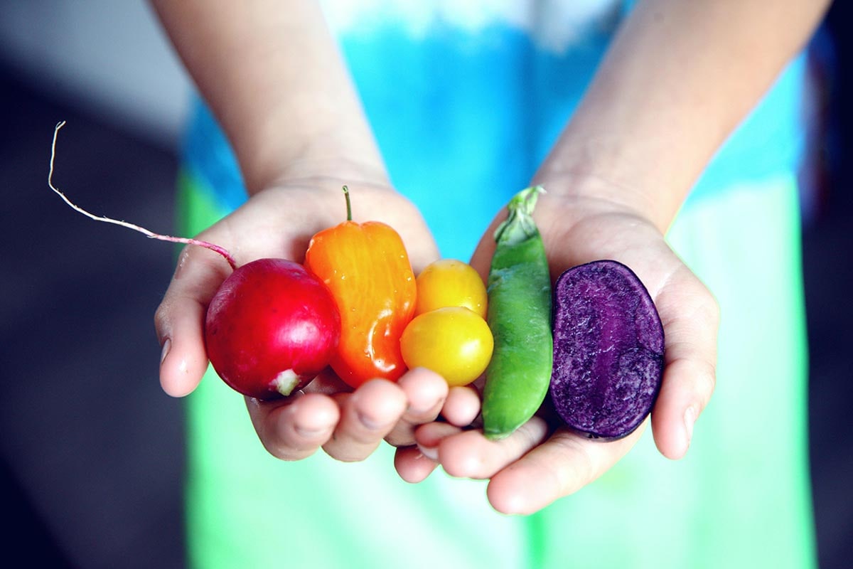 A person's hands holding six brightly coloured different vegetables