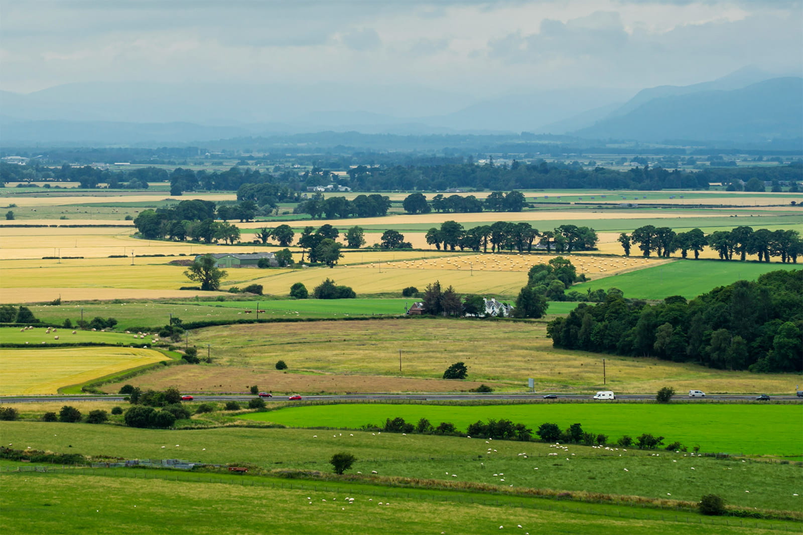 Rolling green hills and agricultural fields under a cloudy sky in Stirlingshire.