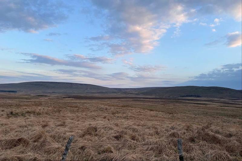 grass fields with rolling hills in the background